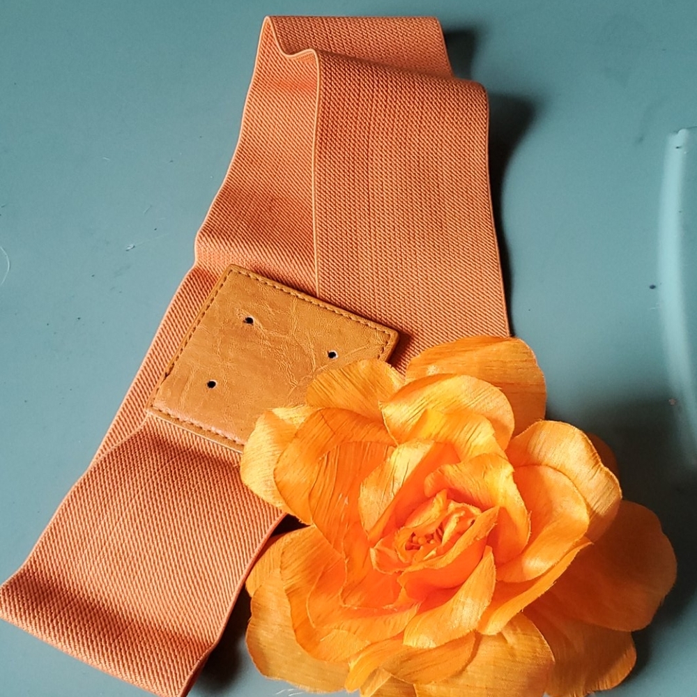 Belts - Picture 2 of 11